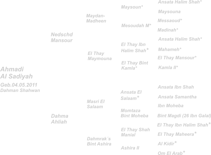 Ansata Halim Shah* Maysouna Ansata Halim Shah* Messaoud* El Thay Mansour* Mahameh* Madinah* Kamla II* El Thay Ibn Halim Shah* El Thay Bint Kamla* Nedschd Mansour Maydan- Madheen El Thay Maymouna Maysoun* Mesoudah M* Dahmrak´s Bint Ashira Geb.04.05.2011 Dahman Shahwan Ahmadi Al Sadiyah Dahma Ahliah Masri El Salaam Ansata Ibn Shah El Thay Ibn Halim Shah* Al Kidir* Ibn Moheba Ansata Samantha El Thay Maheera* Om El Arab* Bint Magdi (26 Ibn Galal) Ansata El Salaam* El Thay Shah Manial Momtaza Bint Moheba Ashira II