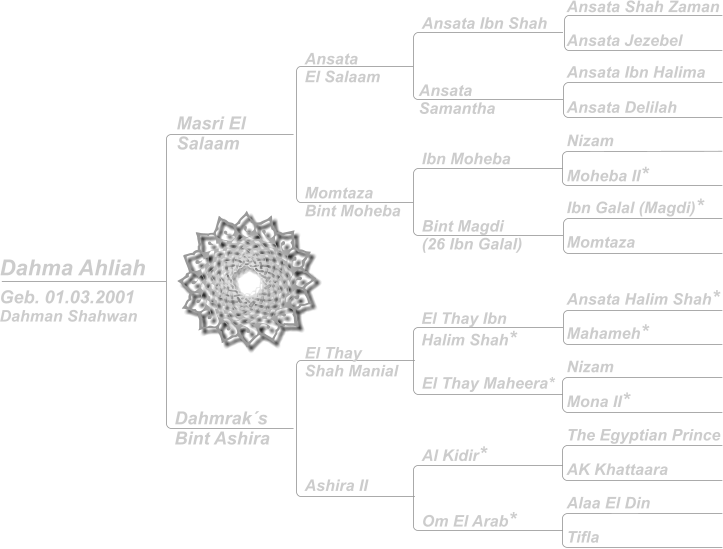 Dahma Ahliah Geb. 01.03.2001 Dahman Shahwan Ansata El Salaam Ansata Ibn Shah Ansata Shah Zaman Ansata Jezebel Nizam Ansata Ibn Halima Ibn Galal (Magdi)* Ansata Halim Shah*  The Egyptian Prince Alaa El Din Nizam Moheba II* Ansata Delilah Momtaza Mahameh* AK Khattaara Tifla Mona II* Ansata Samantha Ibn Moheba El Thay Ibn Halim Shah* Al Kidir* Bint Magdi (26 Ibn Galal) El Thay Maheera* Om El Arab* Masri El Salaam Dahmrak´s  Bint Ashira Momtaza  Bint Moheba El Thay Shah Manial Ashira II