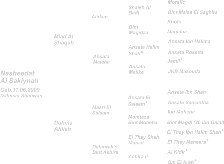 Morafic Bint Maisa El Saghira Ansata Ibn Halima Khofo Jamil* Ansata Rosetta Magidaa JKB Masouda Ansata Halim Shah* Ansata Malika Miad Al Shaqab Alidaar Ansata  Malaha Shaikh Al Badi Bint Magidaa Dahmrak´s Bint Ashira Geb.11.06.2009 Dahman Shahwan Nasheedat Al Sakiynah Dahma Ahliah Masri El Salaam Ansata Ibn Shah El Thay Ibn Halim Shah* Al Kidir* Ibn Moheba Ansata Samantha El Thay Maheera* Om El Arab* Bint Magdi (26 Ibn Galal) Ansata El Salaam* El Thay Shah Manial Momtaza Bint Moheba Ashira II