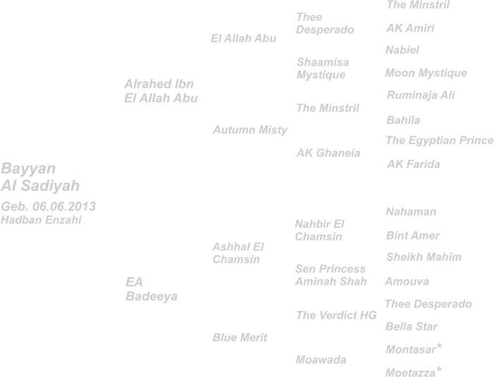 The Minstril AK Amiri Ruminaja Ali Nabiel The Egyptian Prince Bahila Moon Mystique AK Farida The Minstril AK Ghaneia Alrahed Ibn El Allah Abu El Allah Abu Autumn Misty Thee Desperado Shaamisa Mystique Blue Merit Geb. 06.06.2013 Hadban Enzahi Bayyan Al Sadiyah EA Badeeya Ashhal El Chamsin Nahaman Thee Desperado Montasar* Sheikh Mahim Bint Amer Bella Star Moetazza* Amouva Nahbir El Chamsin The Verdict HG Sen Princess Aminah Shah Moawada